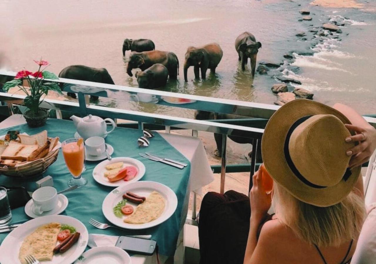 Hotel Elephant Park - New Deal! Half Off Airport Pickups Available Піннавала Екстер'єр фото