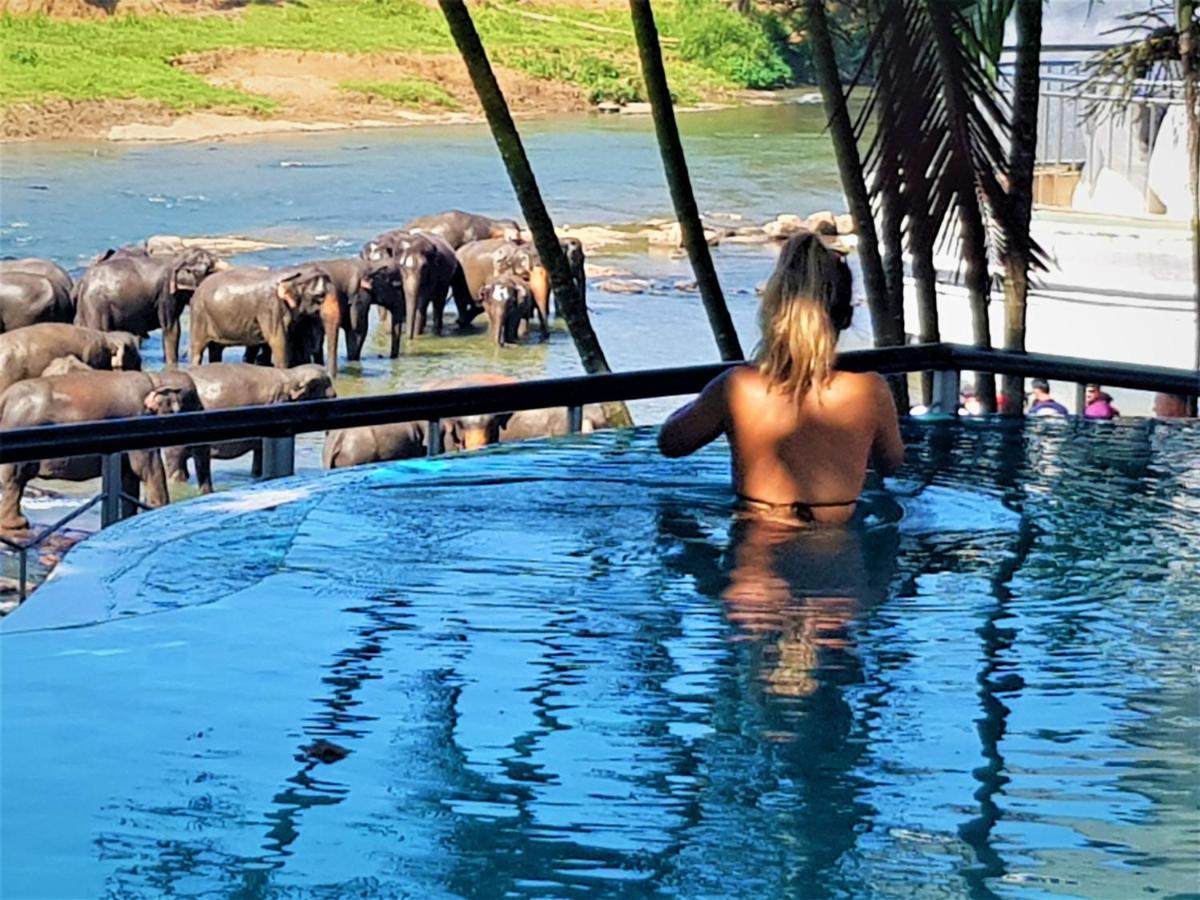 Hotel Elephant Park - New Deal! Half Off Airport Pickups Available Піннавала Екстер'єр фото
