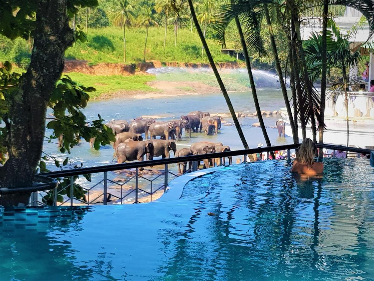 Hotel Elephant Park - New Deal! Half Off Airport Pickups Available Піннавала Екстер'єр фото